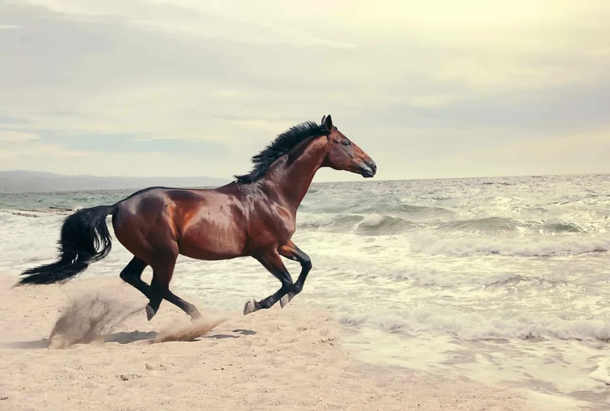 End-of-Year Reset: What We’re Shedding, What We’re Ready For, and How to Prepare Your Health for 2026 @Health Pointe Jacksonville | Health Pointe Jacksonville