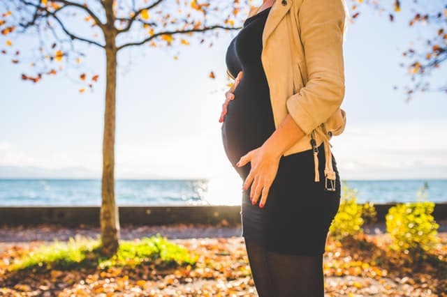 Fertility acupuncture — IVF support and preconception care at Health Pointe Jacksonville, FL